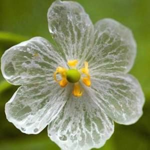 Meet your Posher, Lili